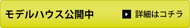 fnEXJ/ڍׂ͂